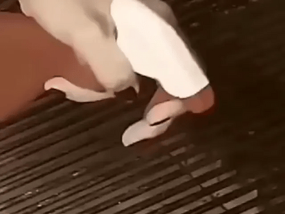 Escova de Limpeza a Vapor Para Churrasqueira