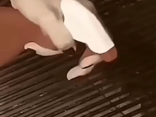 Escova de Limpeza a Vapor Para Churrasqueira
