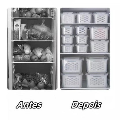 Kit Pote Organizador Multiuso Tampa Housee