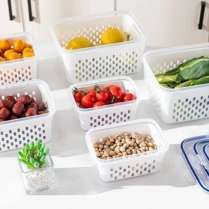 Kit Pote Organizador Multiuso Tampa Housee