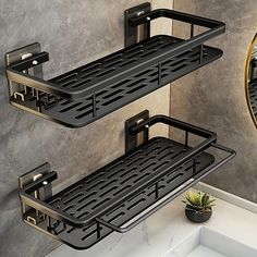Suporte de Parede para Shampoo - Kit