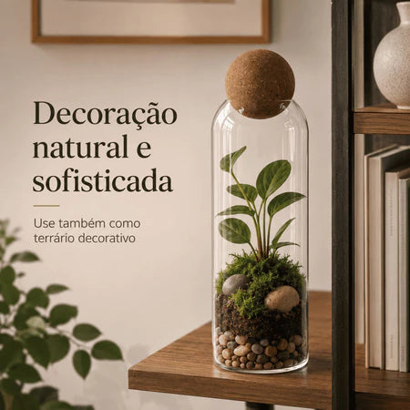 Kit 3 Potes Vidro Tampa Bola de Cortiça Housee